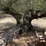 Fioro Villa Koríthion