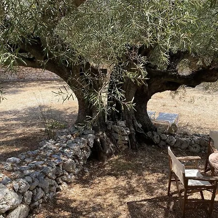 Fioro Villa Korithion